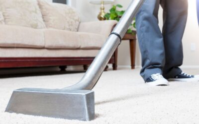 Carpet Cleaning: What You Need to Know before You Book With A Professional